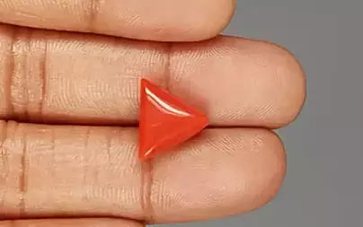 Red Coral (Moonga) - 5.99 Carats