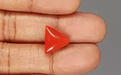 Red Coral (Moonga) - 6.77 Carats