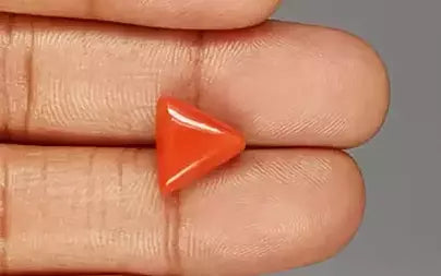 Red Coral (Moonga) - 5.39 Carats