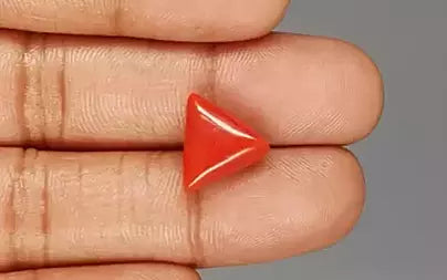 Red Coral (Moonga) - 6.39 Carats