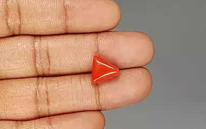 Red Coral - 5.93 Carats (Moonga - 6.46 Ratti)