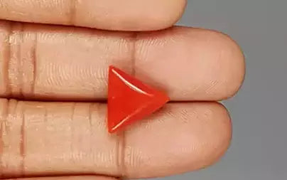 Red Coral (Moonga) - 6.28 Carats