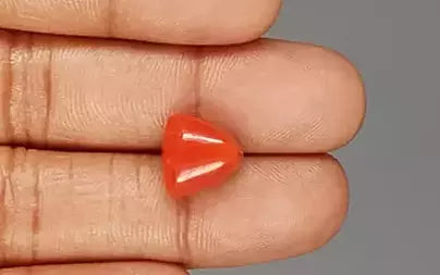 Red Coral (Moonga) - 6.95 Carats