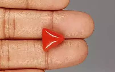 Red Coral (Moonga) - 6.74 Carats