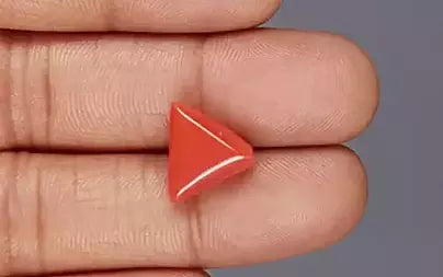 Red Coral (Moonga) - 6.83 Carats