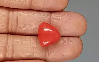 Red Coral (Moonga) - 16.59 Carats