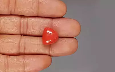 Red Coral - 16.12 Carats (Moonga - 17.57 Ratti)