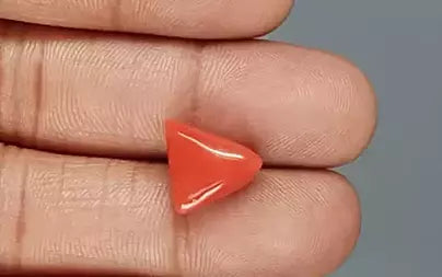 Red Coral (Moonga) - 6.61 Carats