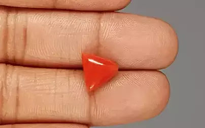 Red Coral - 4.55 Carats (Moonga - 4.96 Ratti)