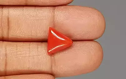 Red Coral (Moonga) - 5.02 Carats