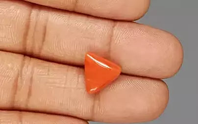 Red Coral (Moonga) - 5.65 Carats