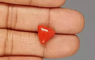 Red Coral (Moonga) - 5.37 Carats