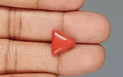 Red Coral (Moonga) - 5.32 Carats