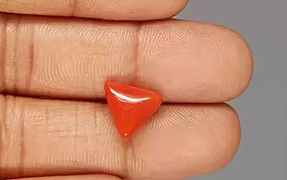 Red Coral (Moonga) - 4.67 Carats
