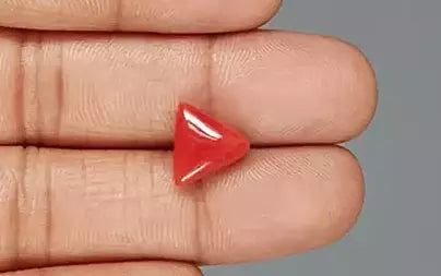 Red Coral - 4.85 Carats (Moonga - 5.29 Ratti)