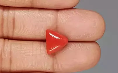Red Coral (Moonga) - 5.19 Carats