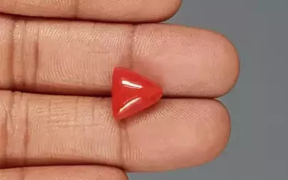 Red Coral (Moonga) - 5.66 Carats