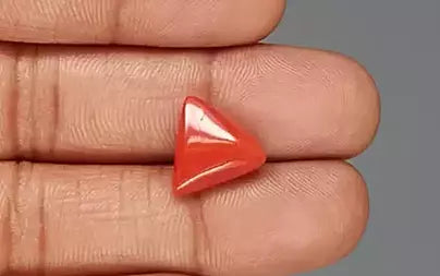 Red Coral - 6.09 Carats (Moonga - 6.64 Ratti)
