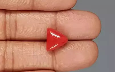 Red Coral (Moonga) - 5.95 Carats