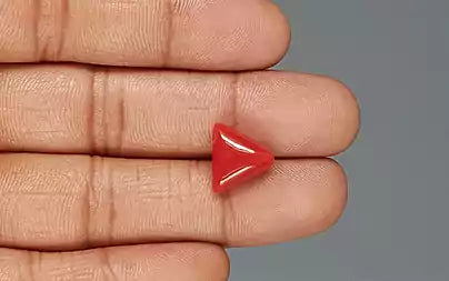 Red Coral (Moonga) - 6.25 Carats
