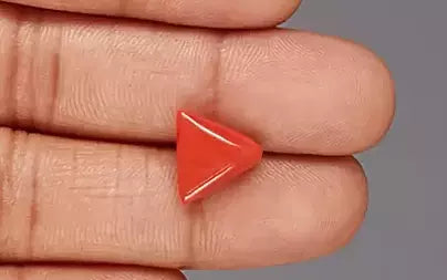 Red Coral (Moonga) - 4.70 Carats