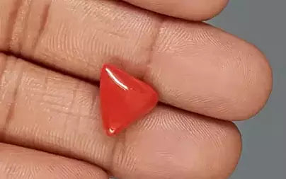 Red Coral (Moonga) - 6.05 Carats