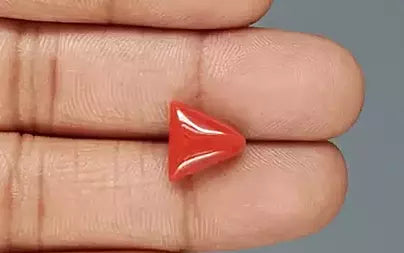 Red Coral (Moonga) - 4.67 Carats