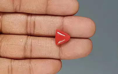 Red Coral (Moonga) - 5.03 Carats