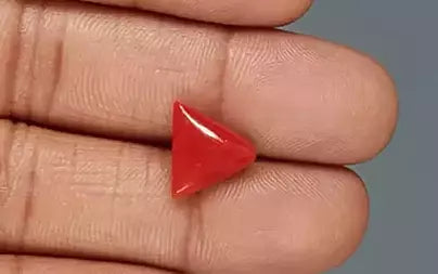 Red Coral (Moonga) - 4.64 Carats