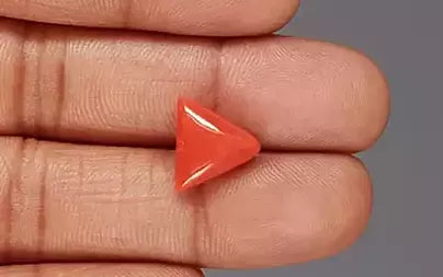 Red Coral (Moonga) - 5.61 Carats