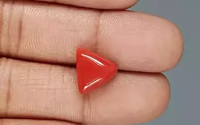 Red Coral (Moonga) - 5.60 Carats