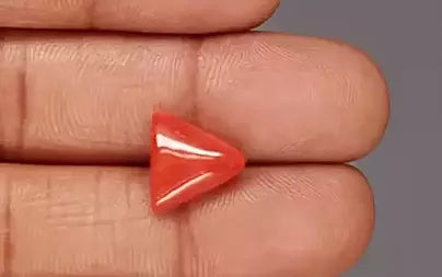 Red Coral (Moonga) - 4.54 Carats