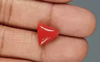 Red Coral (Moonga) - 5.09 Carats