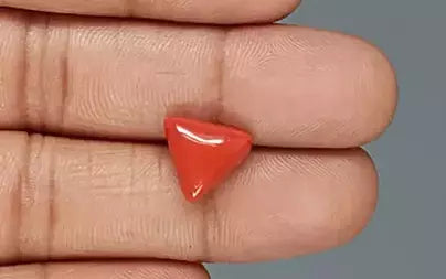 Red Coral (Moonga) - 5.11 Carats