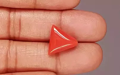 Red Coral - 9.31 Carats (Moonga - 10.15 Ratti)