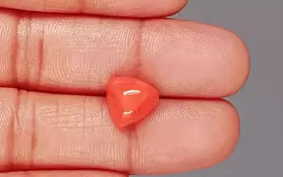 Red Coral - 5.47 Carats (Moonga - 5.96 Ratti)