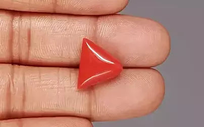 Red Coral - 9.18 Carats (Moonga - 10.01 Ratti)