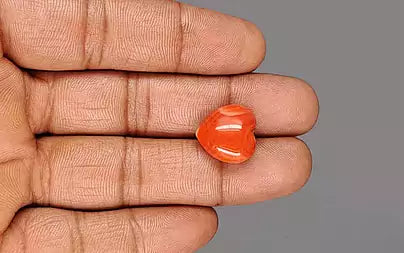 Red Coral - 13.31 Carats (Moonga - 14.51 Ratti)