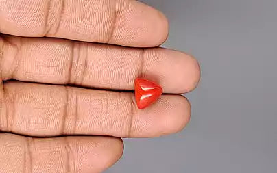 Red Coral - 6.11 Carats (Moonga - 6.66 Ratti)