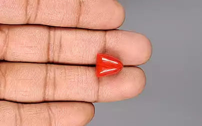 Red Coral - 9.31 Carats (Moonga - 10.15 Ratti)