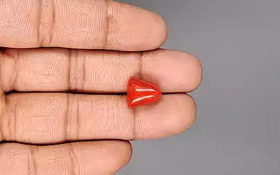 Red Coral - 7.86 Carats (Moonga - 8.57 Ratti)