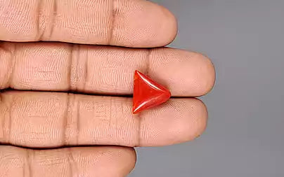 Red Coral (Moonga) - 6.59 Carats