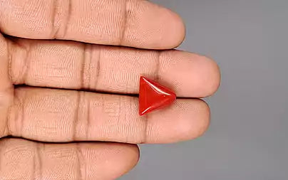 Red Coral (Moonga) - 7.11 Carats