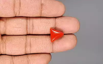 Red Coral (Moonga) - 6.58 Carats