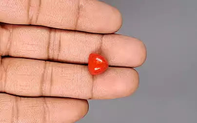 Red Coral (Moonga) - 5.77 Carats