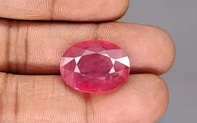 Ruby - 16.70 Carats (Manik - 18.20 Ratti)