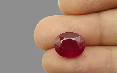 Ruby - 7.20 Carats (Manik - 7.85 Ratti)