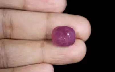 Ruby - 14.74 Carats (Manik - 16.07 Ratti)