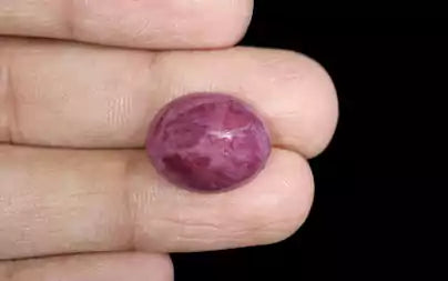 Ruby - 17.25 Carats (Manik - 18.80 Ratti)
