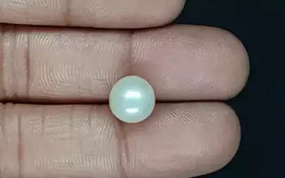 South Sea Pearl (Moti) - 6.04 Carats